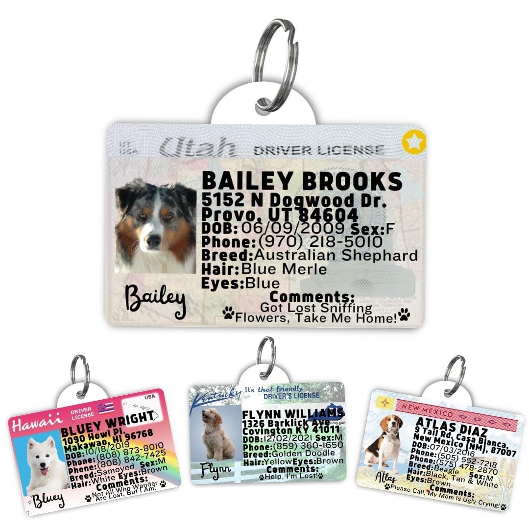 Utah Driver License Custom Dog Tag for Pets and Wallet Card - Dog Tags for Dogs - Dog ID Tag - Personalized Dog ID Tags - Cat ID Tags - Pet ID Tags for Cats - Personalized Pet ID Tags (Utah, Tag)