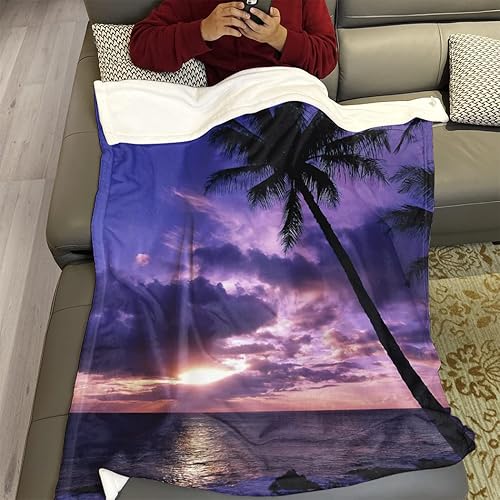 Miniatura 3 de Manta de felpa de 60 x 80 pulgadas, manta de franela suave y cálida para sofá, palmera, puesta de sol