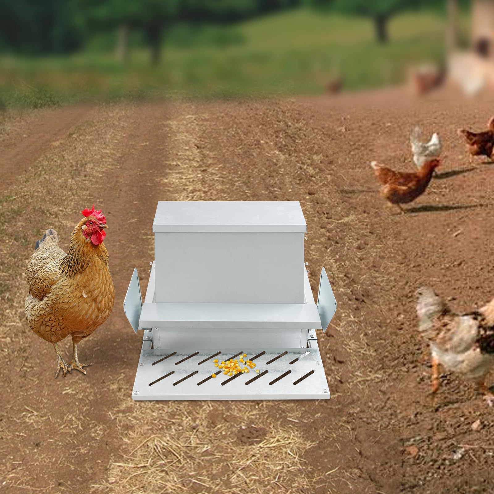 Lemoeyes Automatic Chicken Feeder, 25lbs Capacity Poultry Trough Feeds 6-12 Fowl Up to 7 Days, Galvanized Steel for Chickens Pheasants or Roosters