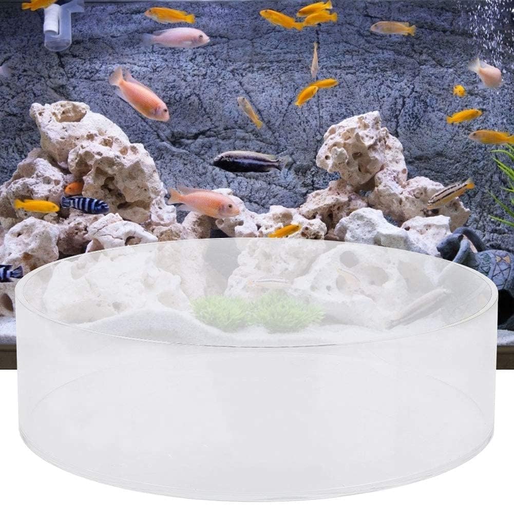 Clear Acrylic Coral Viewer Fish Tank Coral Observe Lense Aquarium Fish Photograph Cylinder Magnifier Fish Tank Accessory for Viewing Coral and Taking Pictures(200mm)