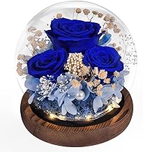 Eternal Rose in Glass with Light, Infinite Flowers, Preserved Roses as Gifts for Women, Mom, Grandma, Girlfriend, Valentine's Day, Mother's Day, Birthday,