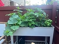 Review Image by CK CK