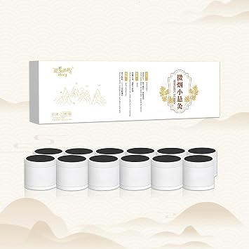 Traditional Moxibustion Kit, 12 Pack Small Moxibustion Boxes Portable Moxibustion Tools with Moxa Stick, Less Smoke, Mild Home Use