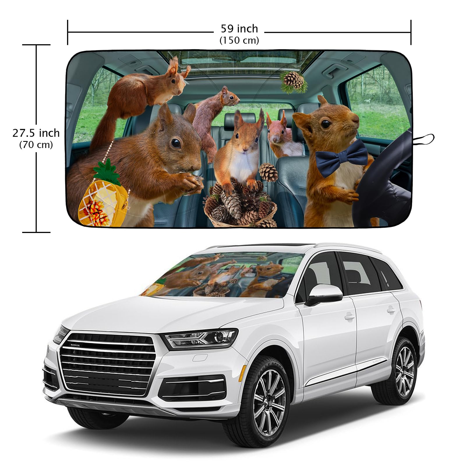 Amazon.com: Funny Squirrel Car Windshield Sun Shade Foldable