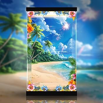 はにかみ彼女 来海志乃羽 1/7 完成品フィギュア　アルミナ 限定販売】はにかみ彼女 来海志乃羽 1/7 完成品フィギュア