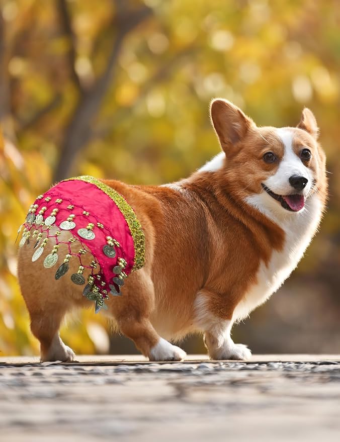 Disfraz para Perro Bailarín - Conjunto de Puppy con Cadena de Sequin y Falda - Perfecto para Cumpleaños o Halloween miniatura 5