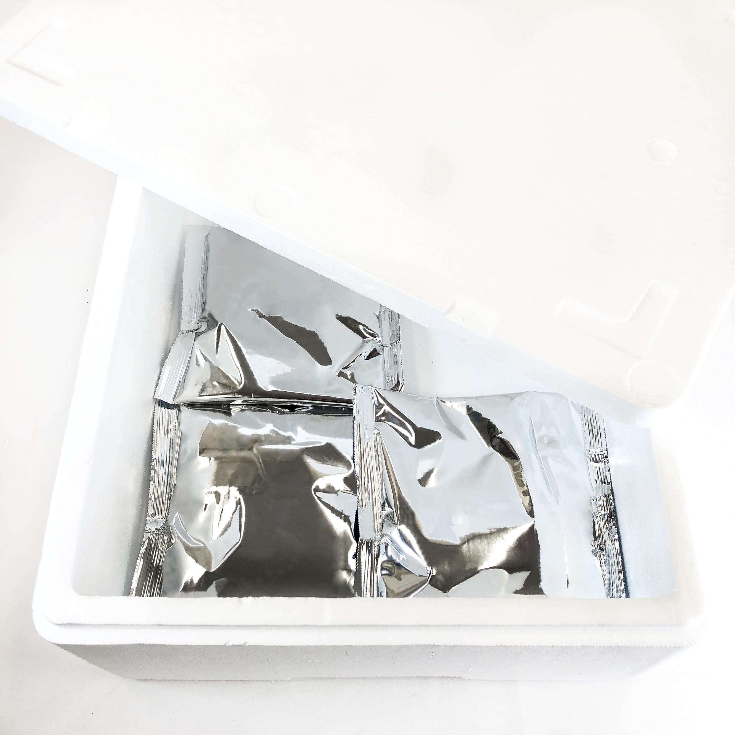 Pack de 20 Unidades de Acumuladores de Frío | Bolsas de Hielo para envíos y Mantener Alimento, Medicamentos y Otros Materiales el Fresco | Largo 195 mm x Ancho 170 mm x Alto 25 mm