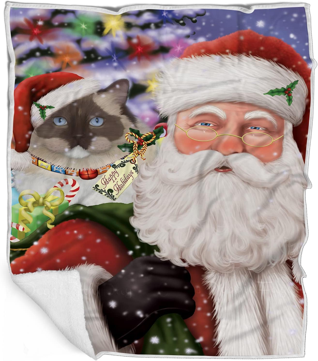 Doggie of the Day Ragdoll Cat Blanket - Christmas Santa Carrying Presents - Super Soft & Warm Pet Theme for Sofa or Bed, Warm Fleece, Sherpa or Woven Material, BLNKT160689 (30x40 Fleece)
