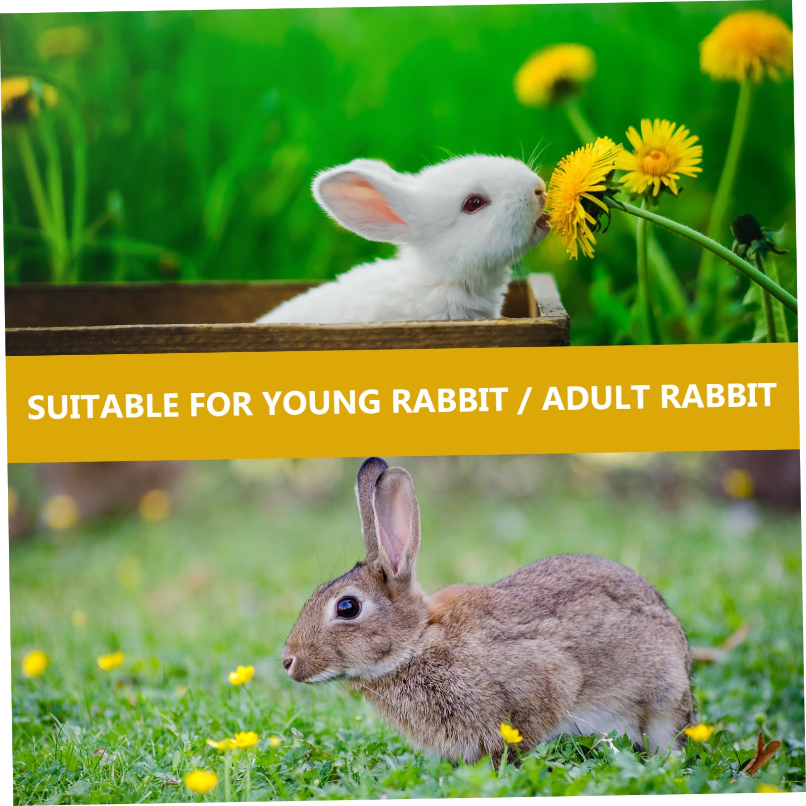 Angoily 3sätze Bunny Stripe Geschirr Haustiere Verstellbare Kaninchenleine Mit Niedlichem Hut Und Kleidung Für Kleine Tiere Wie Zwergkaninchen Weich Und Bequem Für Feiertagsoutfits