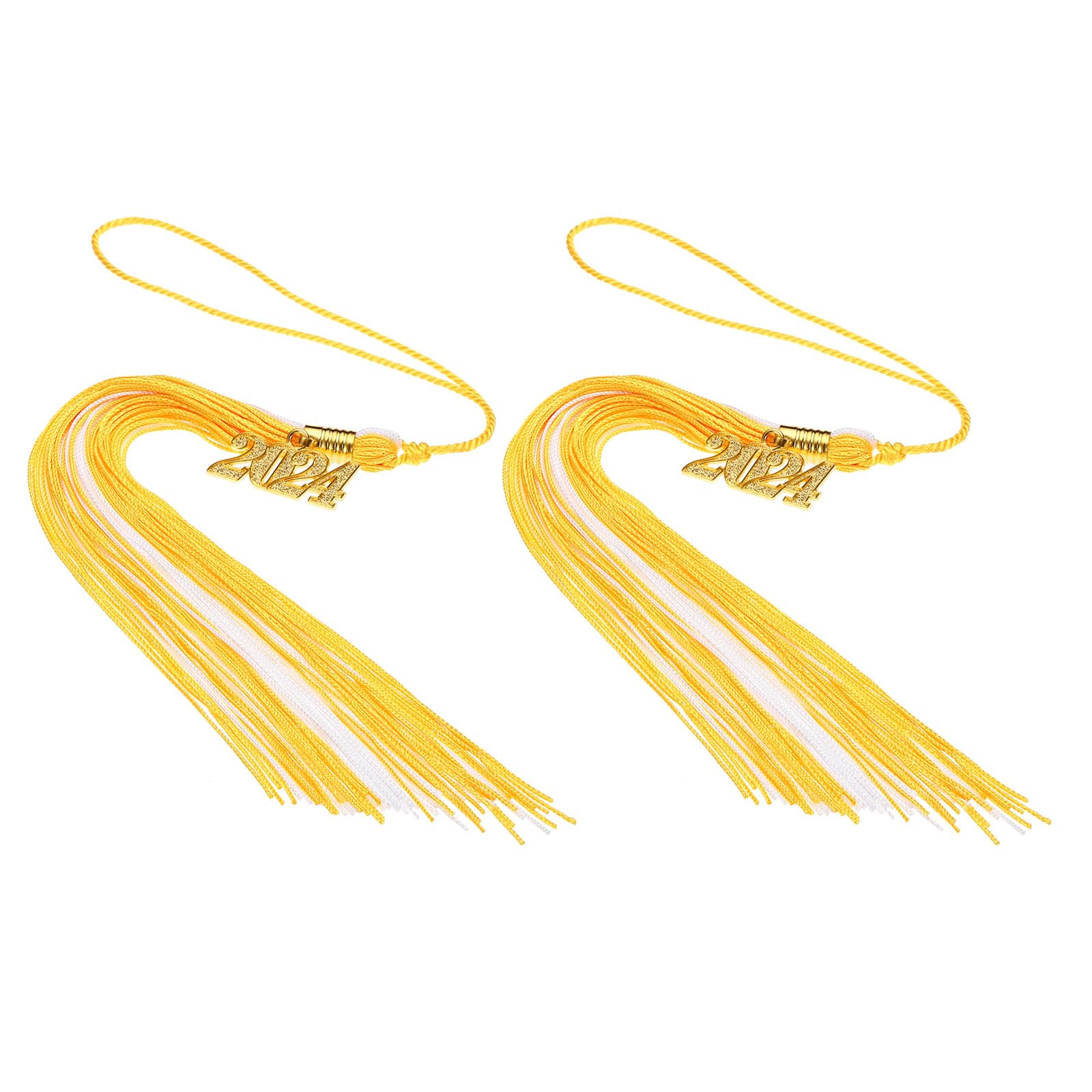 PATIKIL 2 Pcs Graduation Tassel with 2024 Gold Charm