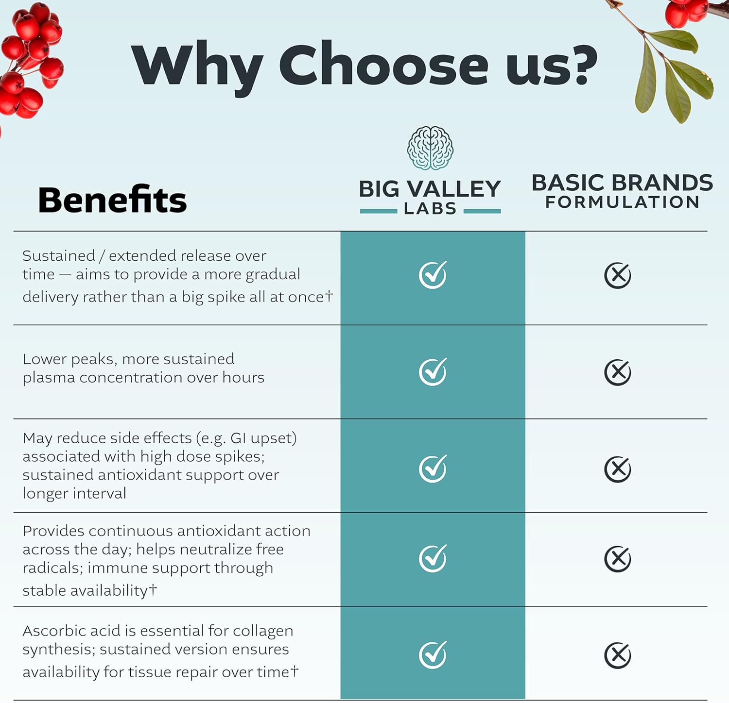 Vitamin C 1,000 mg + Bioflavonoids & Rose Hips – Potent Antioxidant Daily Wellness Support, Vegan, Non-GMO, Gluten-Free – 100 Tablets - Image 9