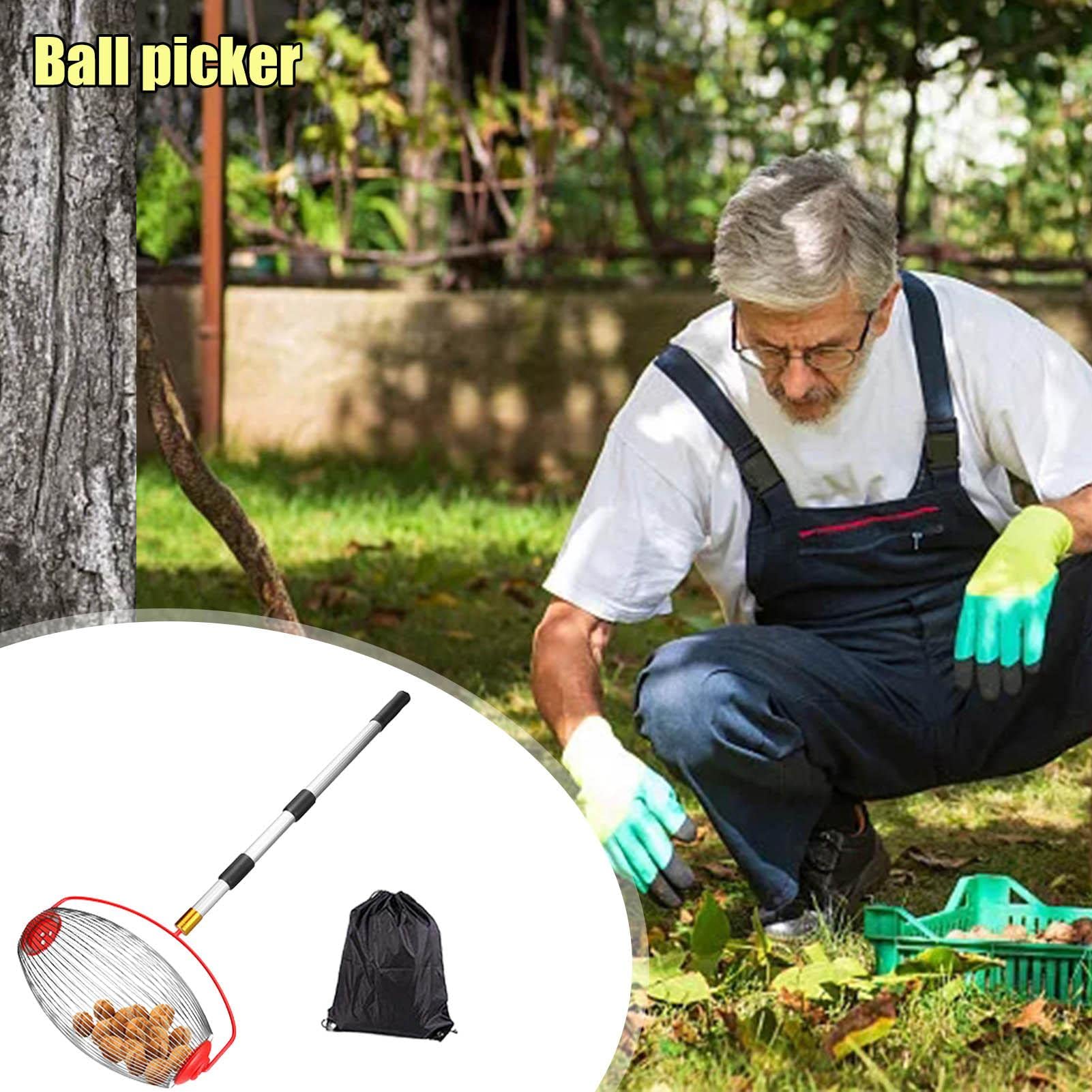 Ramasse-noix En Fil D'acier Inoxydable - Rouleau De 120x60 Cm - Pour Glands, Noix, Châtaignes, Jouets - Léger, Pratique, épargne Le Dos