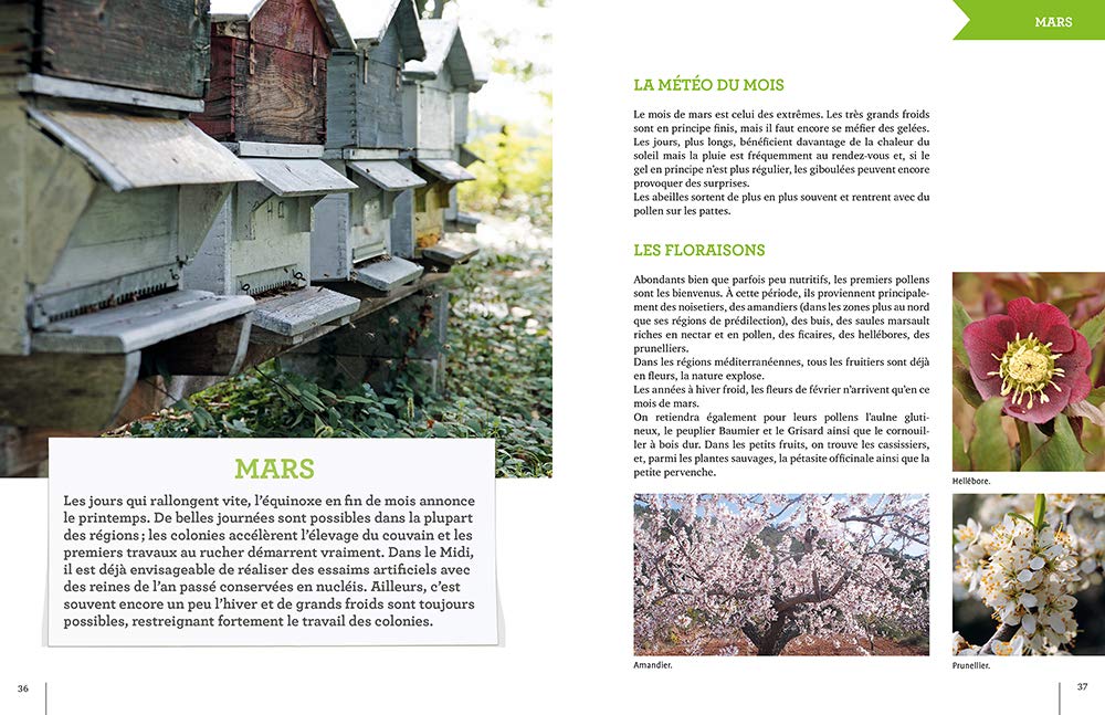 L'apiculture mois par mois Nouvelle édition