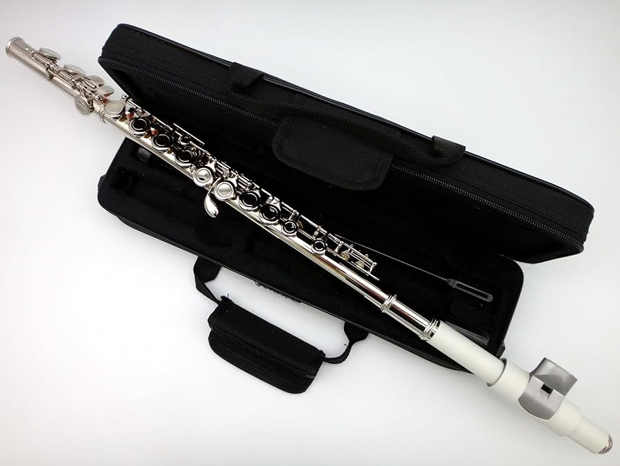 Amazon | 誰が吹いてもすぐ音の出る特許マウスピース付き