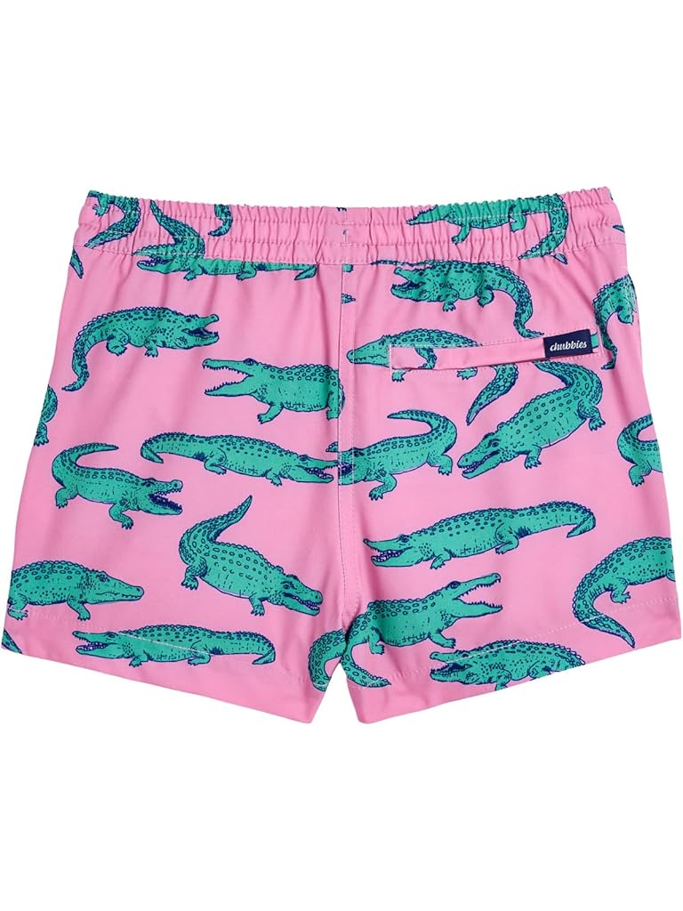 Multi Chubbies The Glades (boys Lined Swim Trunk) (big Kid)