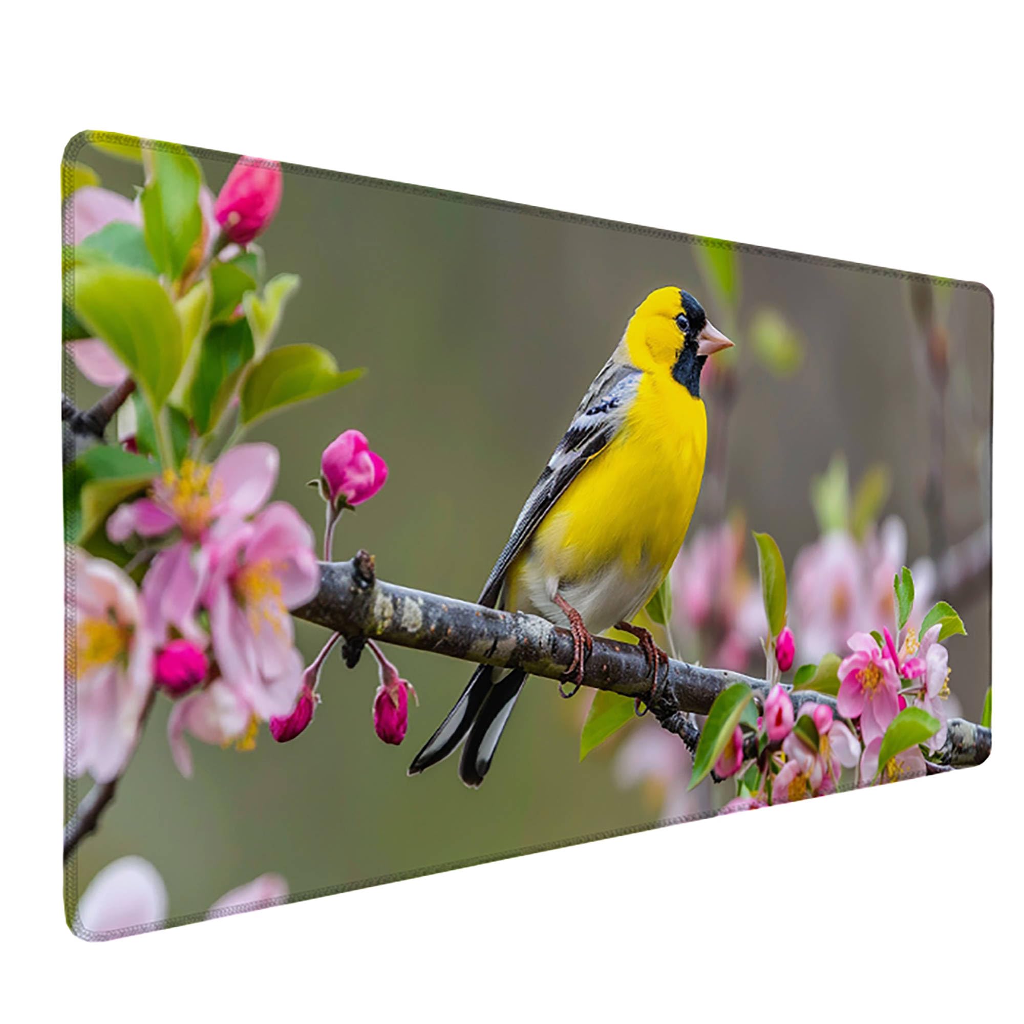 Zielona podkładka pod mysz XXL, podkładka na biurko, 1200 x 600 cm, szyte krawędzie, podkładka pod mysz, gumowa podstawa, ptak, podkładka pod mysz, stabilna przyczepność na gładkich