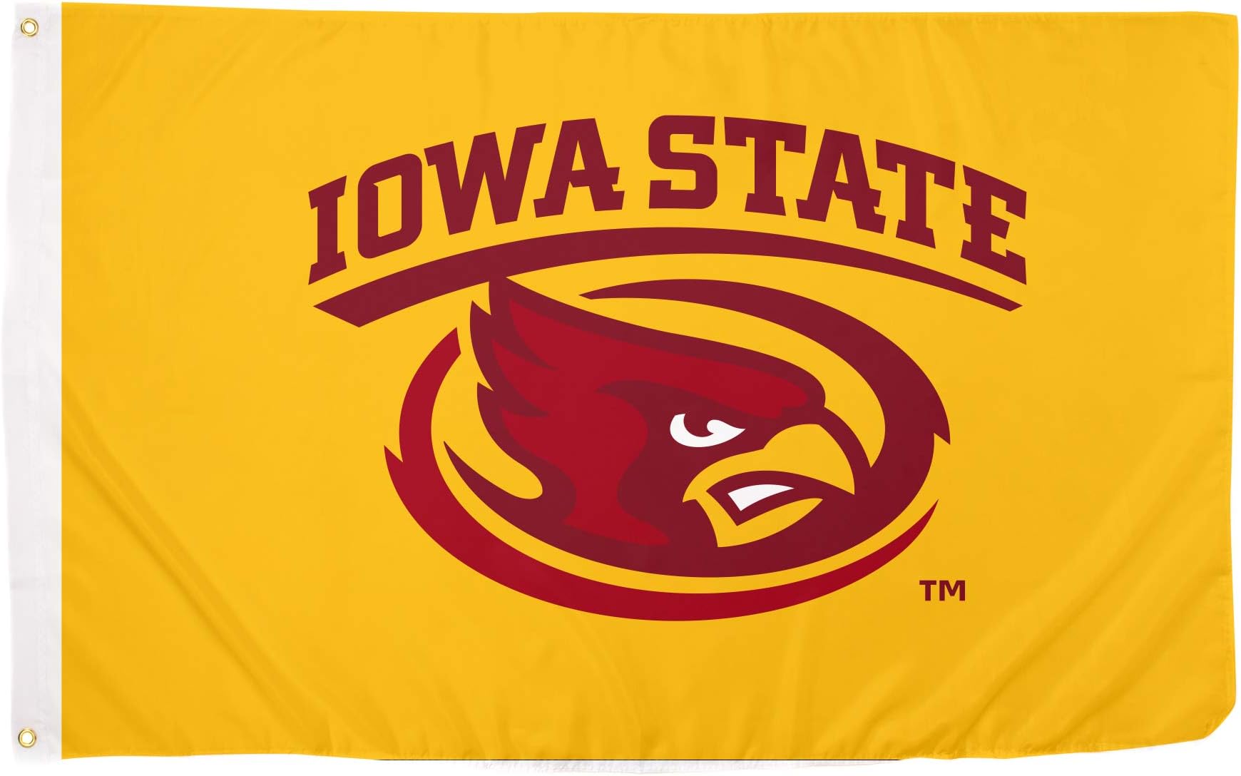 Desert Cactus Iowa State University Flag Cyclones ISU Flags Banners 100% Polyester Indoor Outdoor 3x5 (Style 2) Green