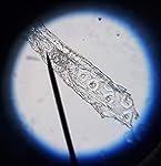 Review Image by Tahoejeepmom Tahoejeepmom