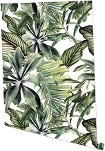 Veemoon 1 Hoja Papel Pintado De Plantas y Flores Verdes Calcomanías De Pared De Hojas Etiqueta De La Pared De La Selva Pared Tropical Pósters Ventana Bebé De Polivinilo Familiar