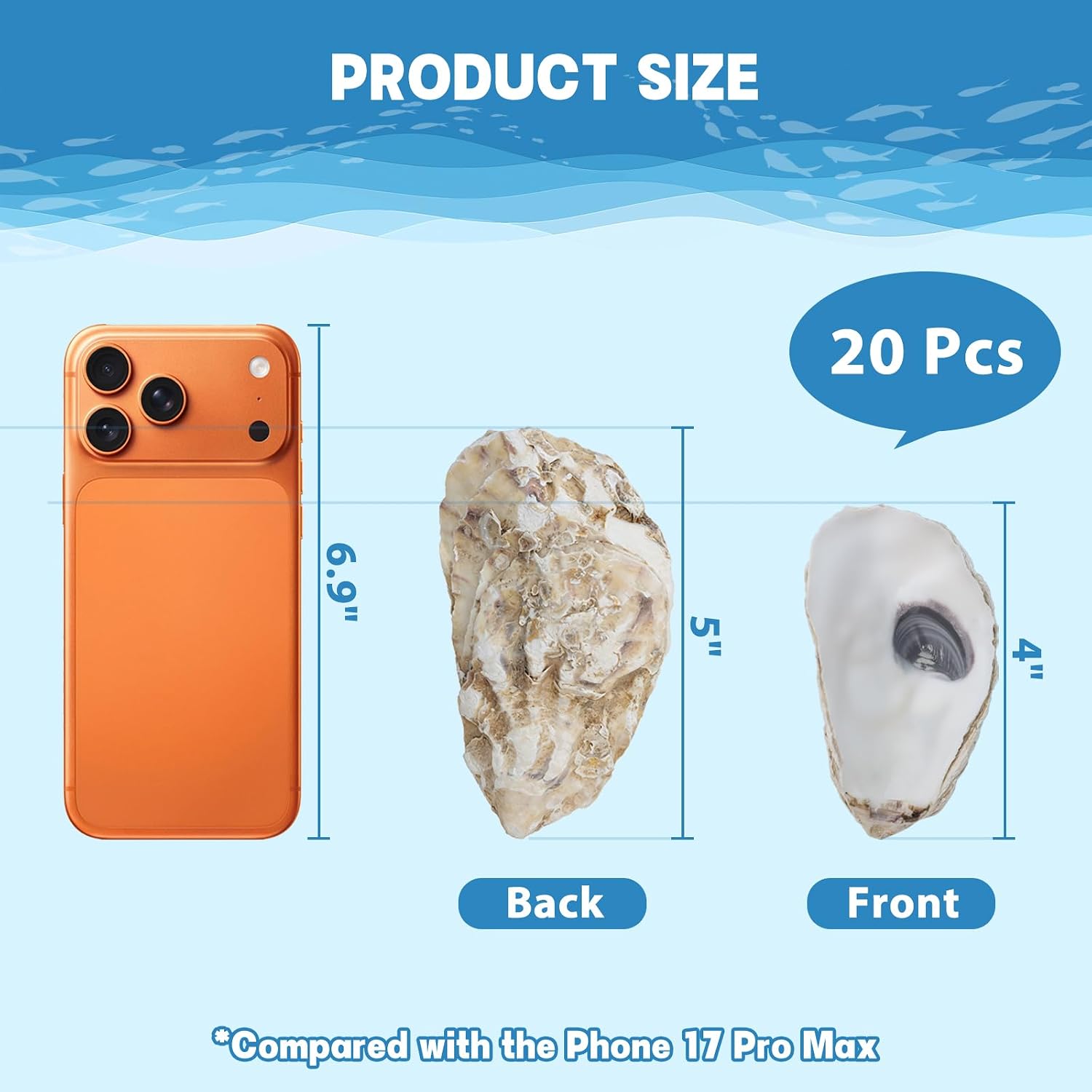 4"-5" 20PCS Large Concave Oyster Shells for Crafts, Natural Oyster Shells Bulk, Sea Shells for DIY Crafting, Home Decor Vase Filler, Beach Wedding & Christmas Ornament