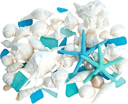 Nautical Crush Trading Sea Shells - White Real Mixed Beach Seashells 1lb with Starfish & Sea Glass - Shells for Crafts - Ocean Decor - Beach Party Decorations - Seashell Decor - Large Shells Crafts