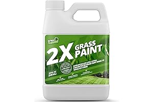 2X Green Grass Spray Paint for a Lush, Envy-Inducing Lawn