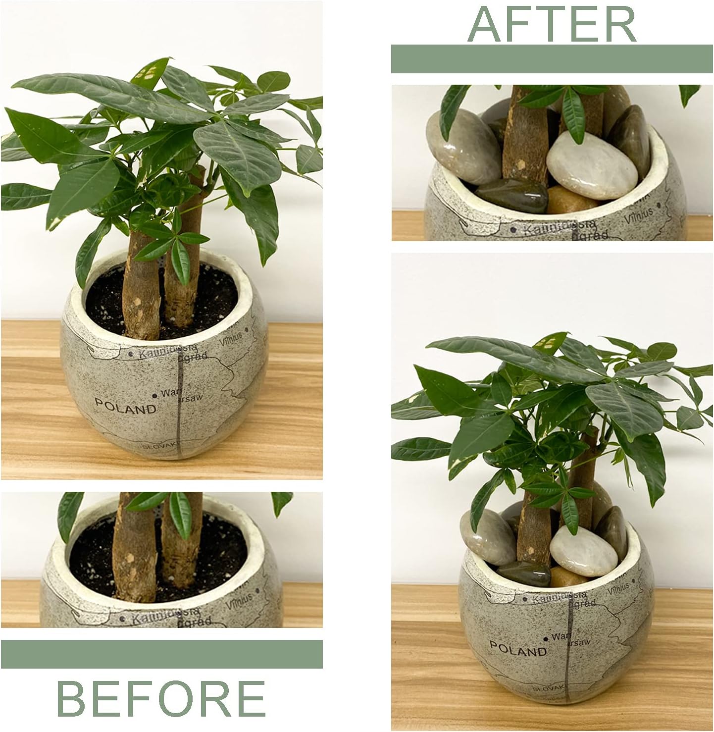 FANTIAN Decorative Polished Pebbles for Plants - Natural Smooth Mixed Color Pebbles Aquarium Gravel, Vase Fillers, Outdoor Decorative Stones and DIY River Rocks (2, Medium) : Garden & Outdoor