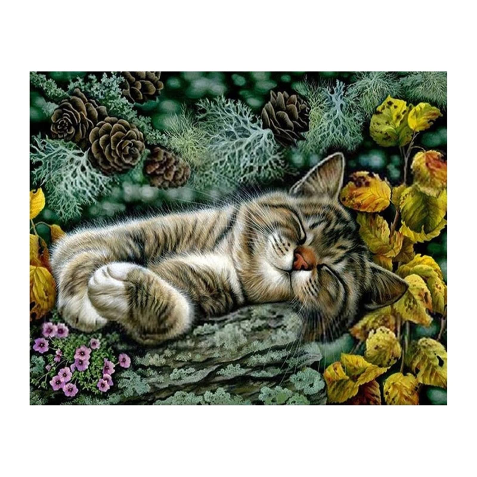 Puzzle bois chat 4000 pièces idée cadeau originale pour anniversaire