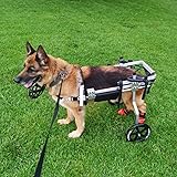 Adjustable+Wheels+Dog+Wheelchair+Cart+Disabled+Dog+Assisted+Walk+Car+for+Hind+Leg+Rehabilitation%2C+Lightweight+Dog+Cart+for+Back+Legs+%28Height+13-27%2CHip+8-15%2CWeight+0-2.5%29