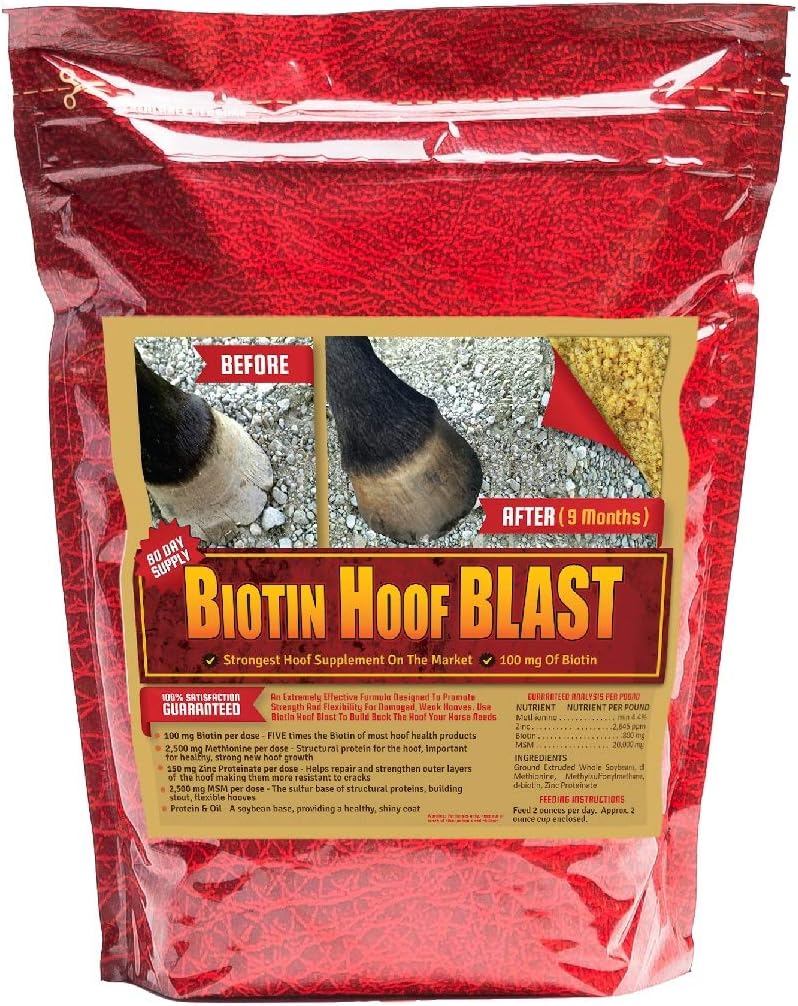 Amazon.com: Durvet 01 0027 Biotin Daily Horse Hoof Care, 2.5 lb : Pet ...