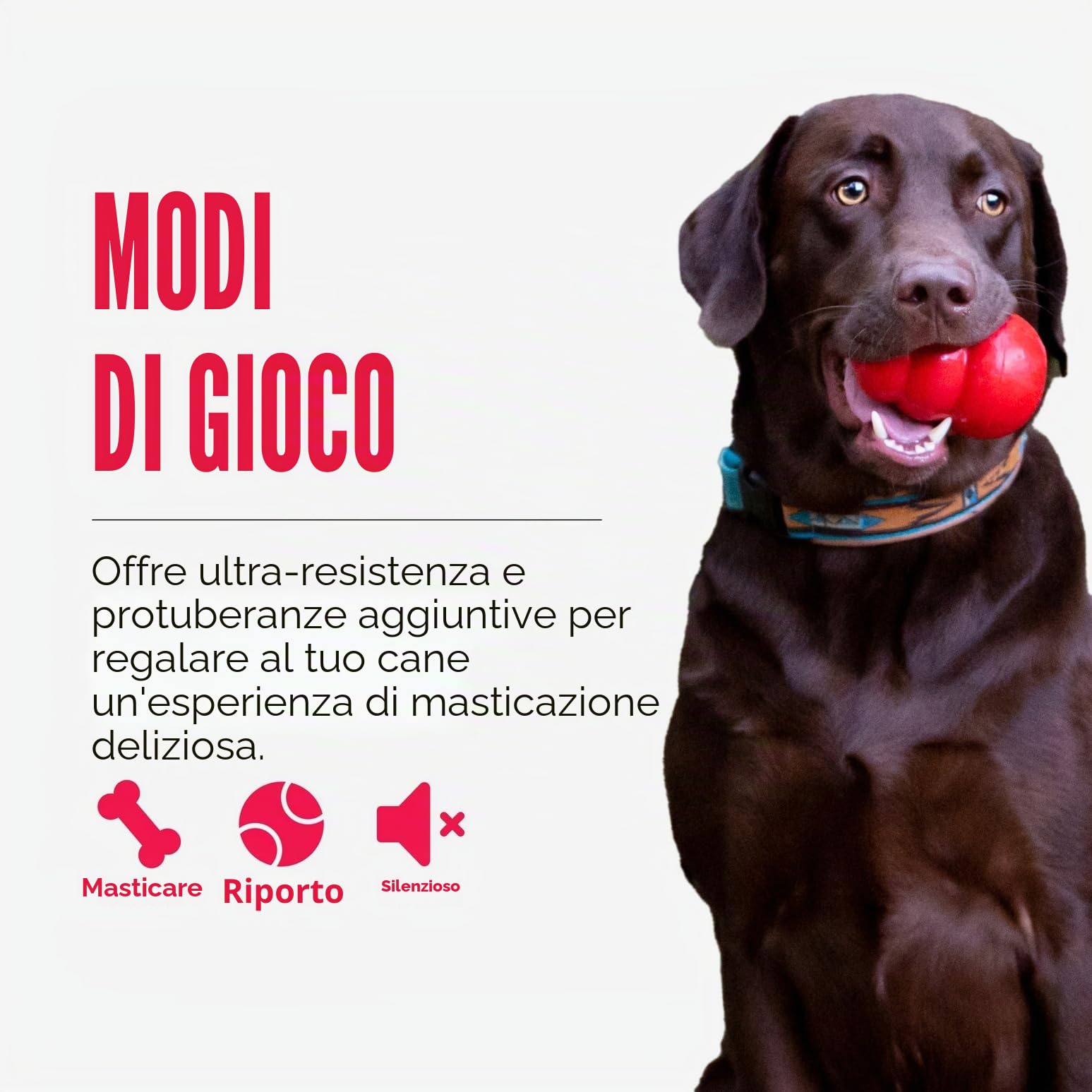 KONG Ring Giocattolo Da Masticare Per Cani Gomma Naturale Resistente Salute Dentale Taglia Media Piccola