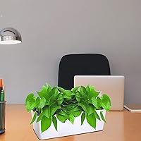 Vista 6 de Fasmov 2 Pack Rectangle Self Watering Planter with Water Level Indicator, 16x 5.5 Inch Window Gardening Box, Decorative Planter Pot for All House