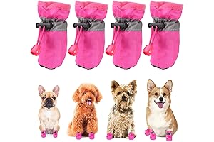 Cozy Canine Coverings: Dog Snow Boots for Adventure and Warmth