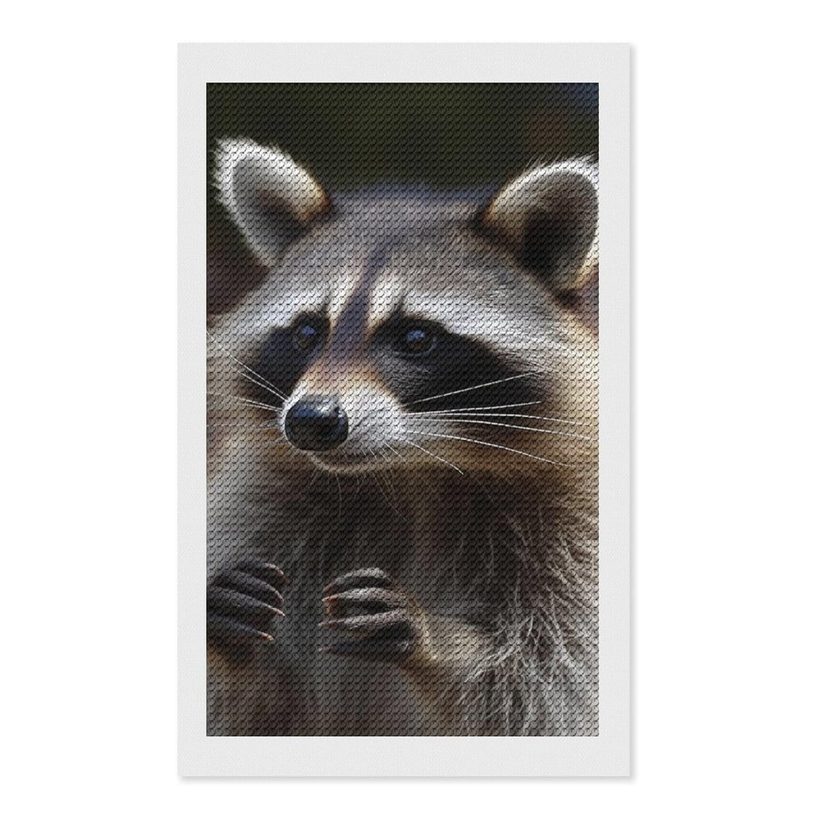 Raccoon Diamond Art Kits for Adults, DIY 5D Diamonds Painting Kits for Beginner, Round Full Drill Diamond Dots Painting, Diamonds Pictures Gem Art and Crafts Wall Decor 12"x20"
