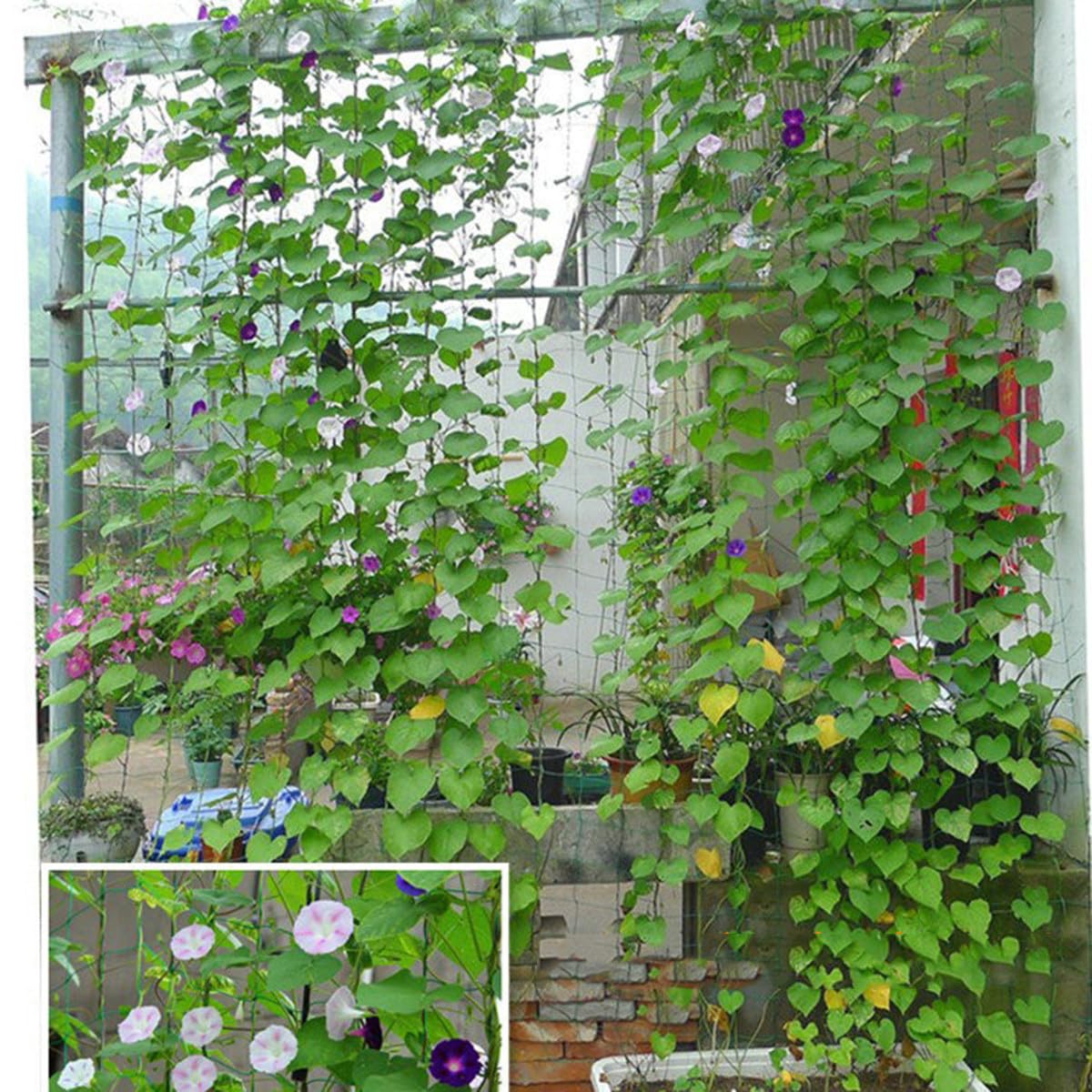 Red para Jardinería Verde 1, 8x3, 6m 3 Piezas de Nylon | Enredaderas y Plantas, Uso Doméstico o Comercial, Soporte Práctico y Resistente, Mantiene la Cosecha Elevada