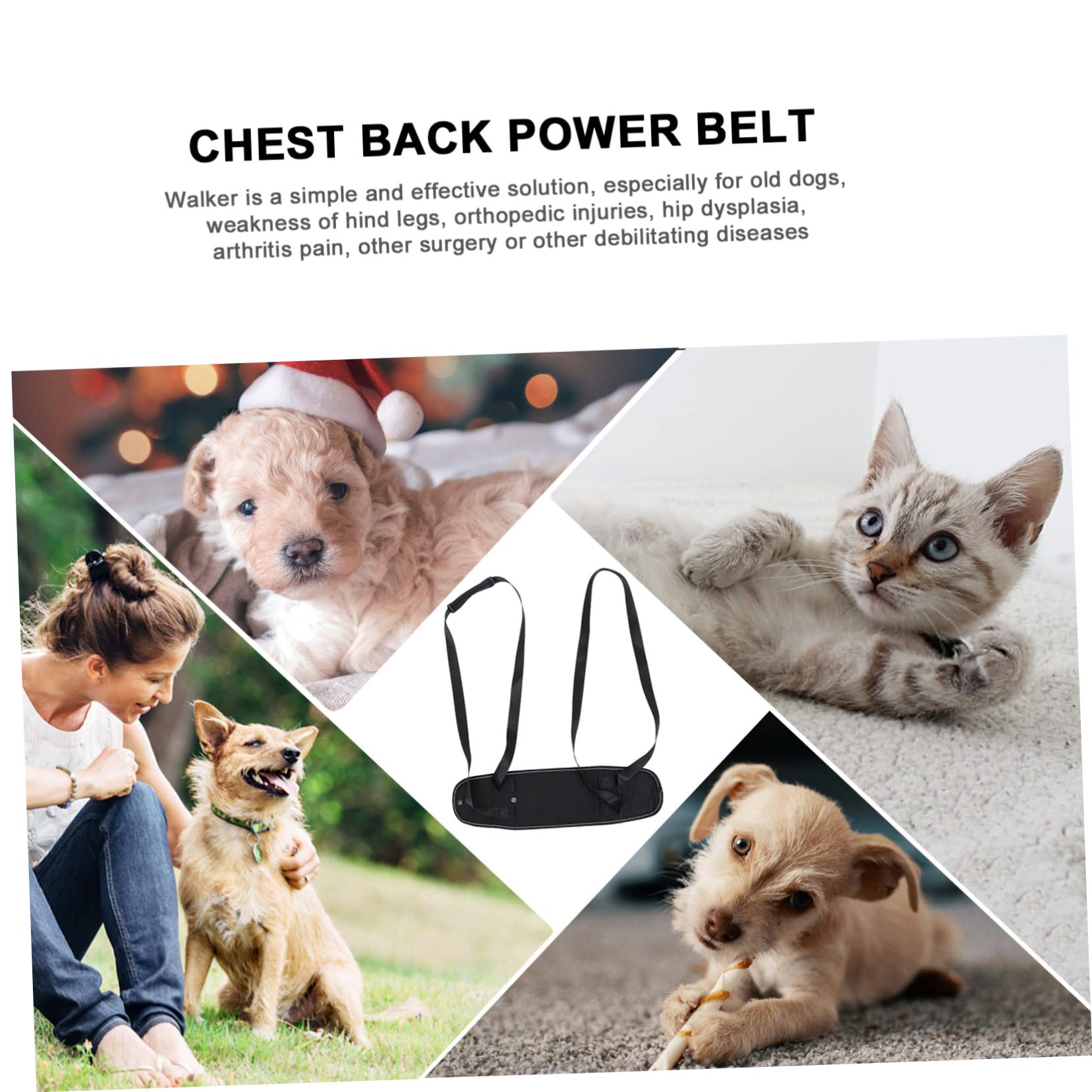 Kisangel 3stücke Portable Dog Support Für Hunde Einstellbares Pet Support Geschirr Für Outdoor Aktivitäten Zur Unterstützung Bei Mobilitätseinschränkungen Und Beim Treppensteigen
