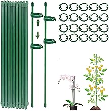 Indoor Plant Stake, 20 Indoor Plant Stakes, 20 Plant Stems Clips, 40 Protective Caps, Mini Plant Stake, Orchid Stake, Plant Growth Attachment (80PCS)