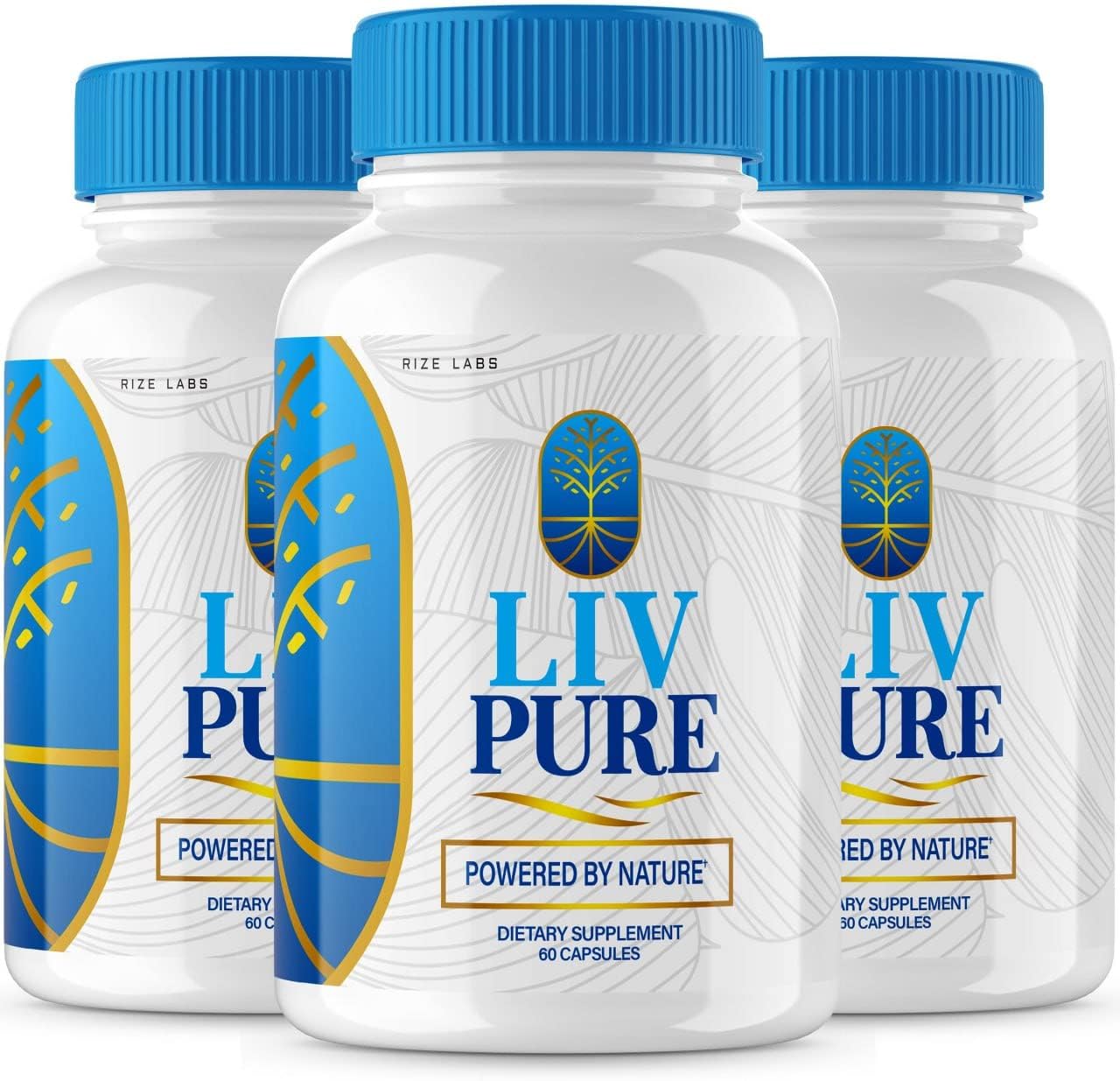 (3 Pack) Liv Pure LivPure Powered by Nature Advanced