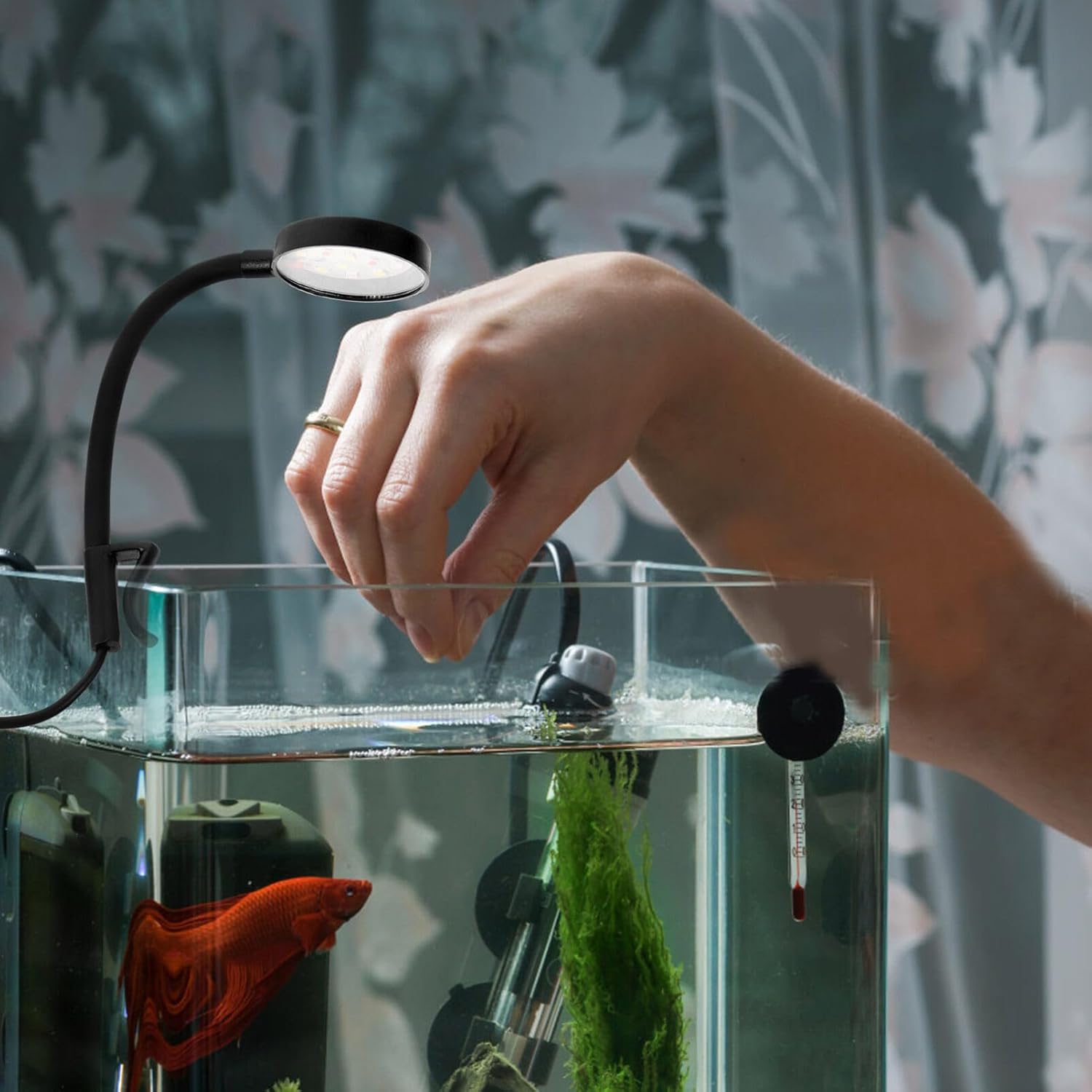 POPETPOP LED Aquarium Light clipped onto a fish tank, illuminating the water