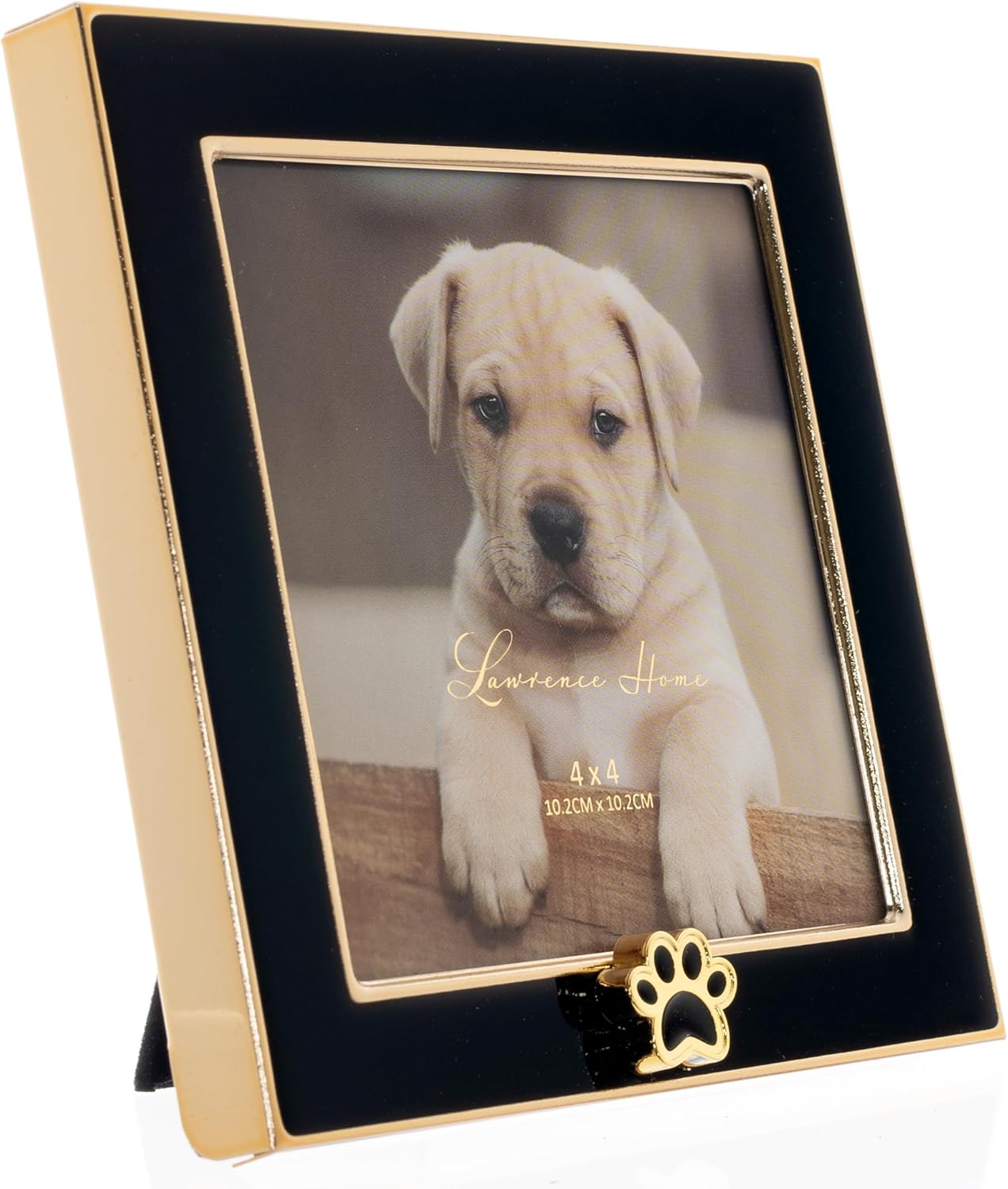 4x4 Black Enamel on Gold Metal Frame - Dog Paw Print - Image 2