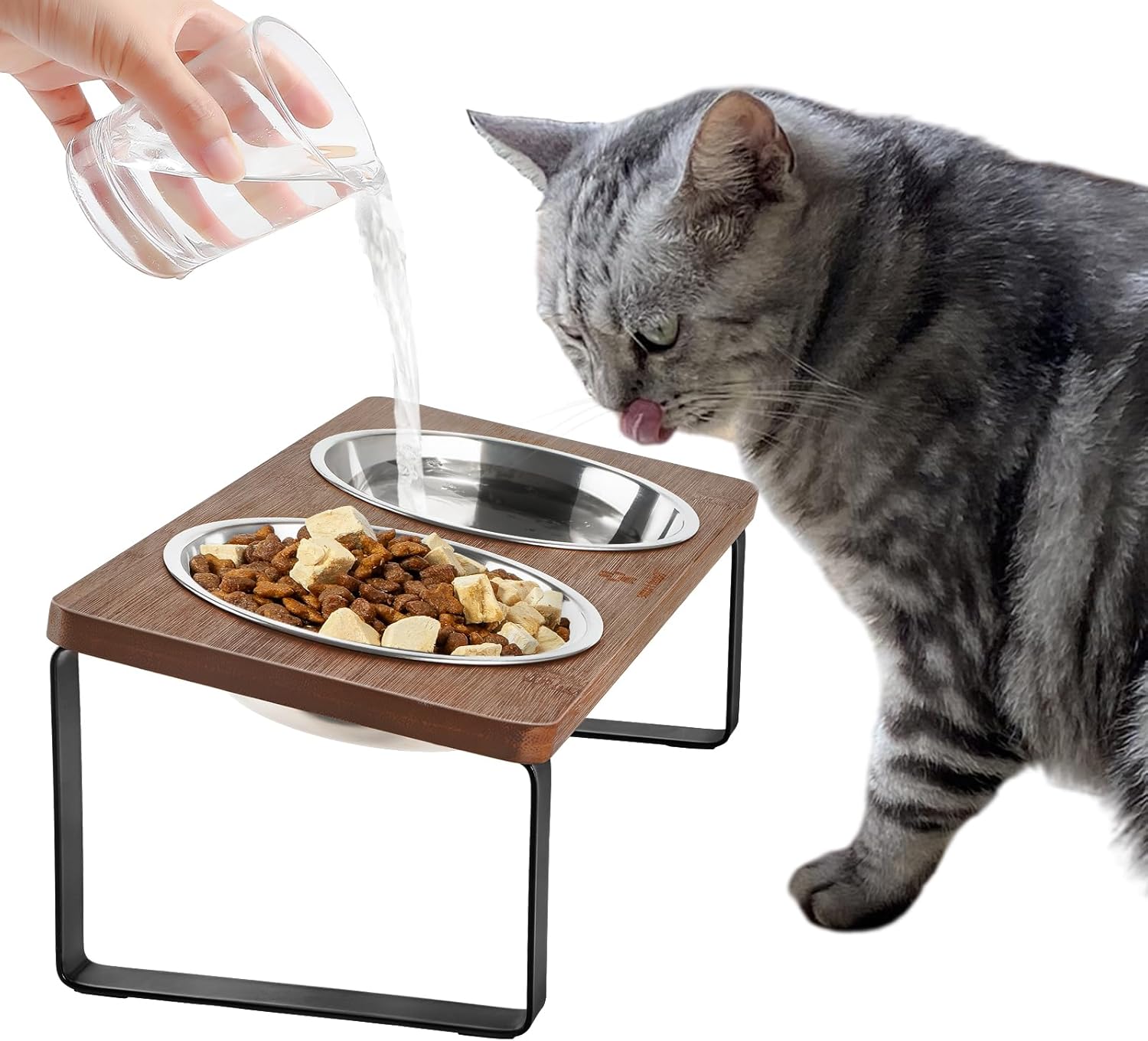 Sunhoo Cat Food Bowl Raised Cats Bowls Elevated Tilted