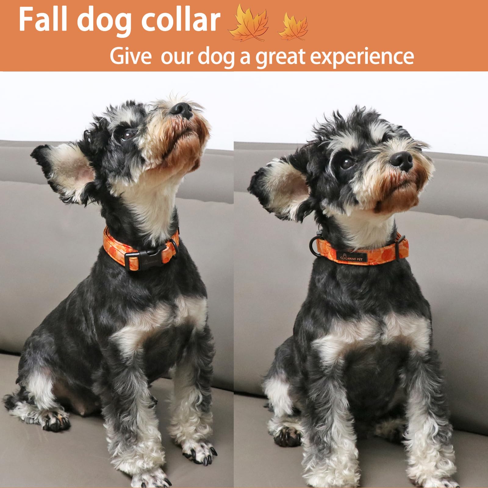 Herbst-Hundehalsband Mit Blume – Orange Kariert, Verstellbar Für Kleine Bis Große Hunde