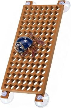 Enhon Hermit Crab Climbing Toy, Climbing Toy for Hermits, Reptile Habitat Decor Exercise Playground Hermit Crab Accessories for Tank and Aquarium Decoration Brown