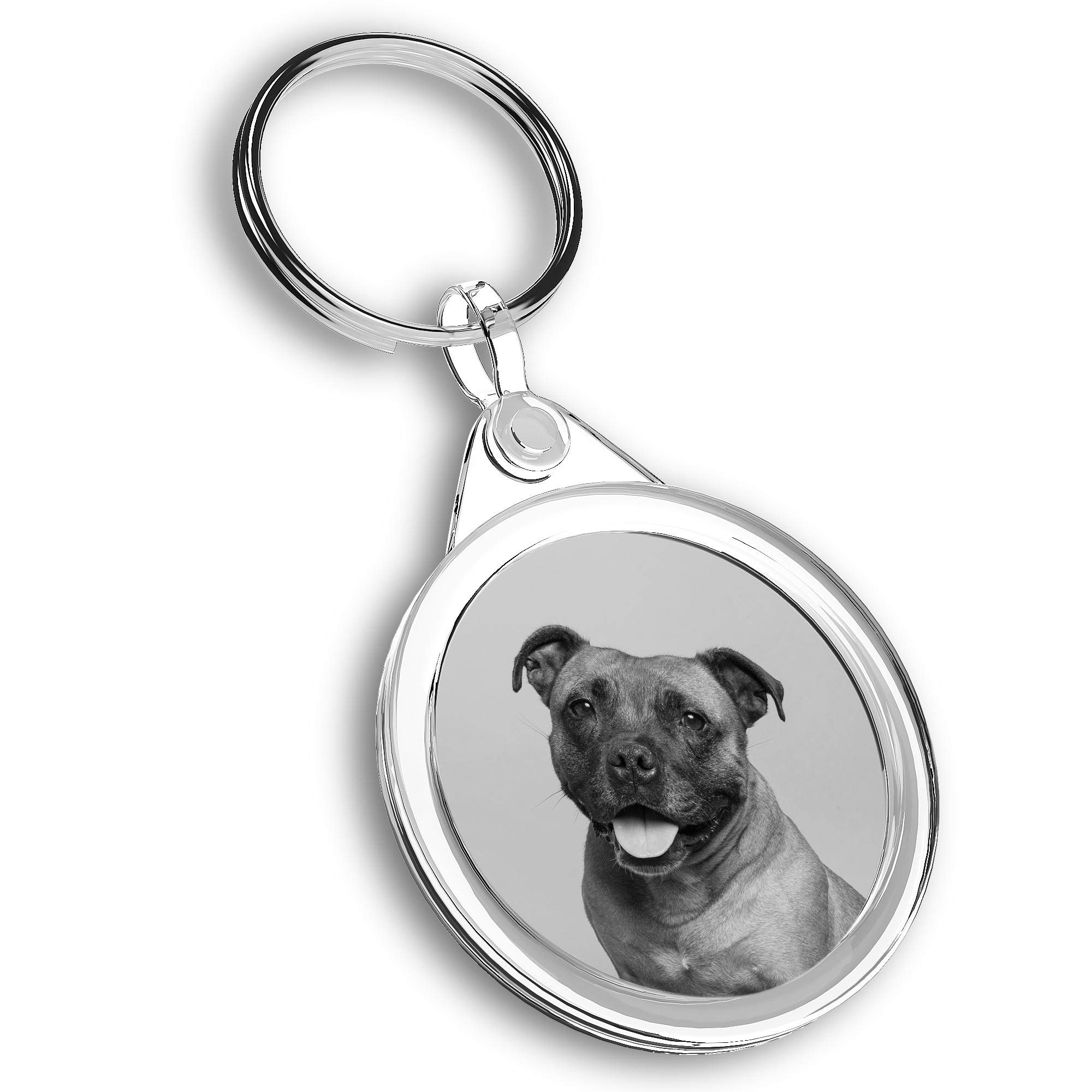 Destination Vinyl Ltd 1 x Photo Keyring - Staffordshire Bull Terrier Dog Staffie |Keychain|Keyring|Charm| #43396