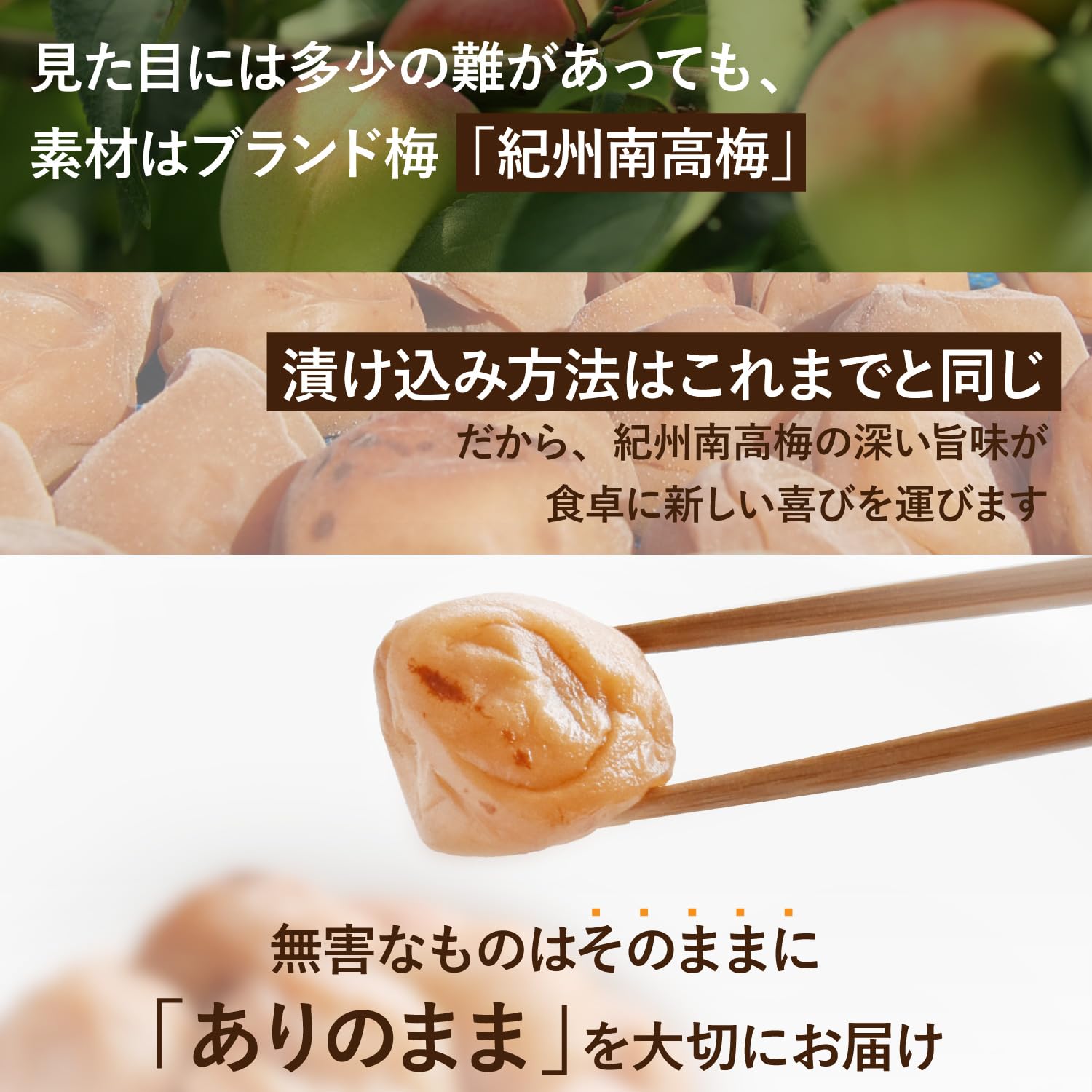 Amazon | 【あんばい商店（福梅本舗）】訳ありつぶれ梅干し800g 無添加
