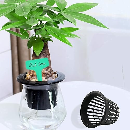 Miniatura 5 de Macetas de red de 3 pulgadas para hidroponía, 30 paquetes con etiquetas para plantas, 30 unidades, copas de red de boca ancha resistentes, macetas