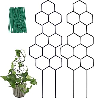 WellSign Small Trellis for Potted Plants, 15.94 inch Metal Plant Trellis for Climbing Plants Indoor Pot Honeycomb Shape Lattice for Ivy Vines Hoya Houseplants Flower 2 Pack