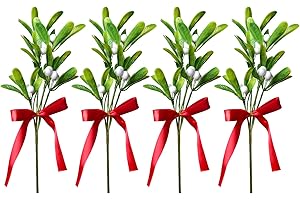 Artiflr Preserved Mistletoe Christmas Decorations