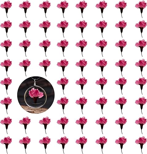 CyHiThai Flores de cerezo secas de color rosa oscuro con tallo para manualidades, 60 flores secas prensadas naturales para joyería de resina,