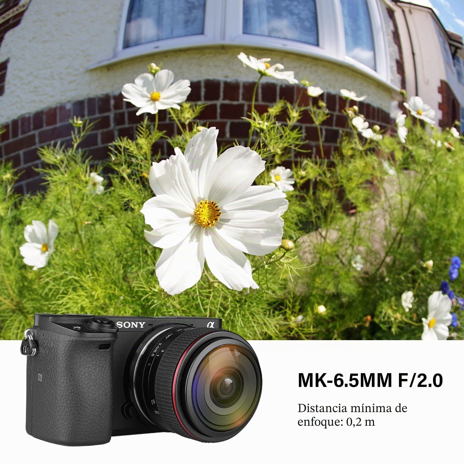 Meike Lente ojo de pez ultra ancha de 6,5 mm f2.0 lentes circulares fijas para cámaras Sony E Mount Mirrorless ZV-E10 ZVE10 II A5000 A5100 A6000 A6100 A6300 A6400 A6500 A6600 A7III A9 NEX 3 3 N